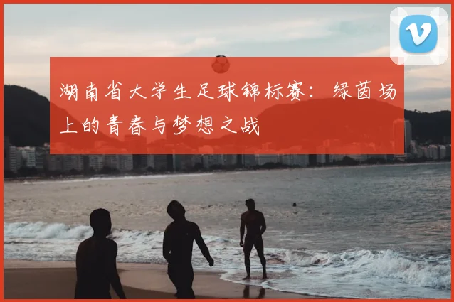 湖南省大学生足球锦标赛：绿茵场上的青春与梦想之战