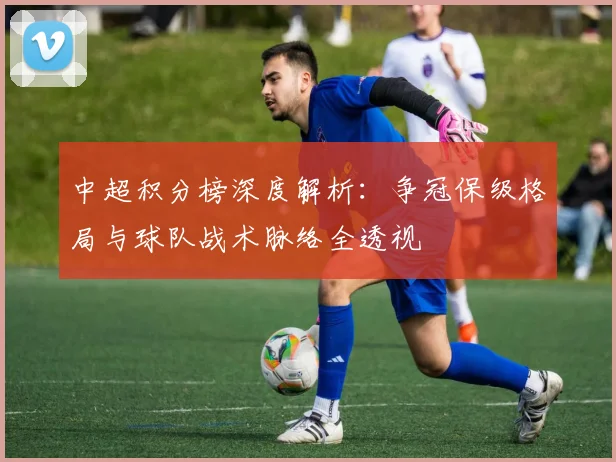 中超积分榜深度解析：争冠保级格局与球队战术脉络全透视