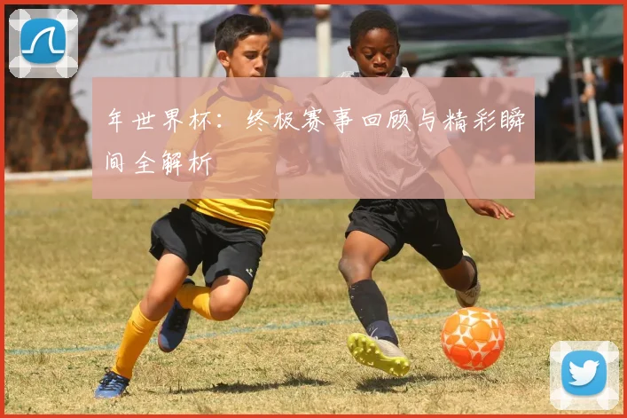 年世界杯：终极赛事回顾与精彩瞬间全解析