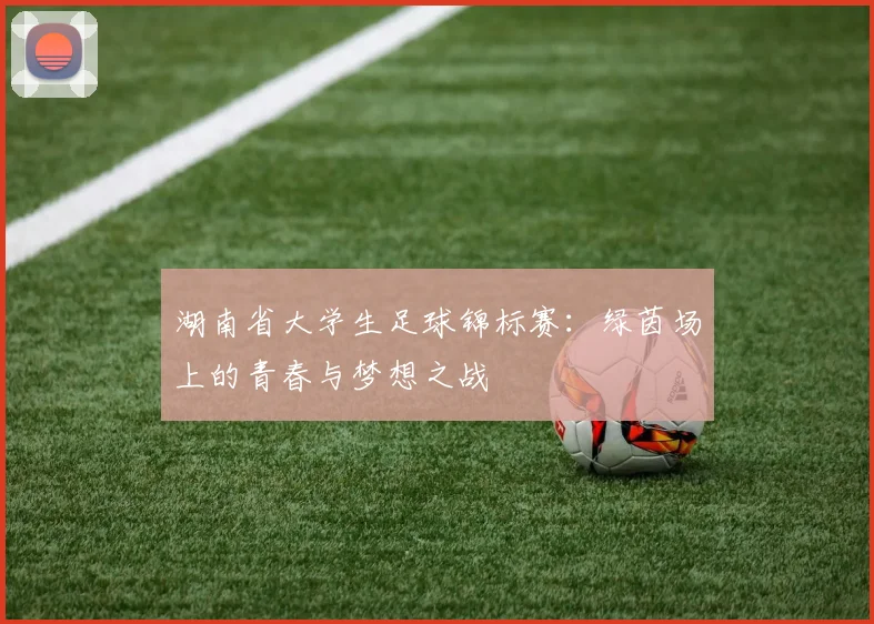 湖南省大学生足球锦标赛：绿茵场上的青春与梦想之战