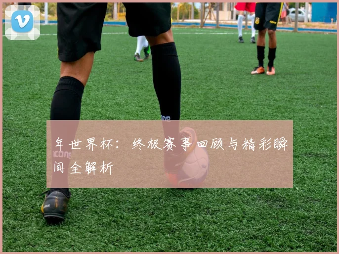 年世界杯：终极赛事回顾与精彩瞬间全解析